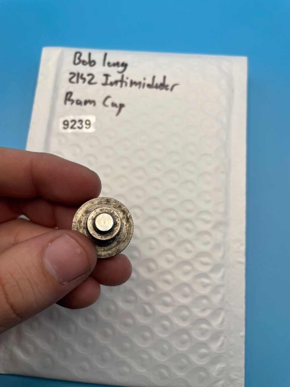 Bob Long 2K2 Intimidator Ram Cap