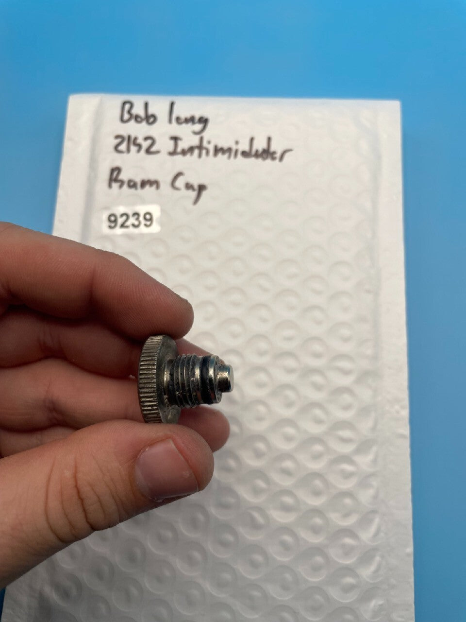 Bob Long 2K2 Intimidator Ram Cap