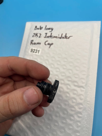 Bob Long 2K2 Intimidator Ram Cap