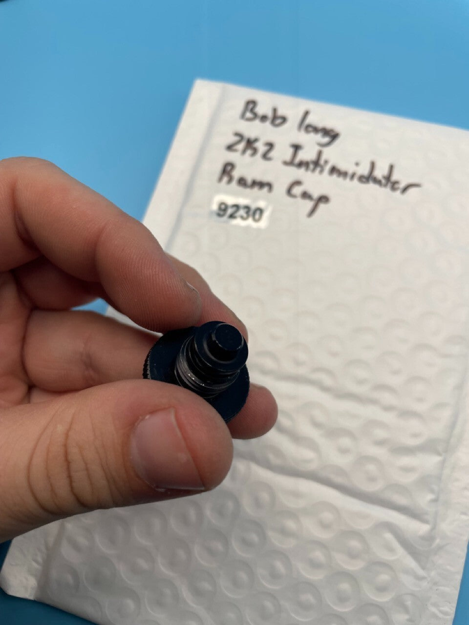 Bob Long 2K2 Intimidator Ram Cap