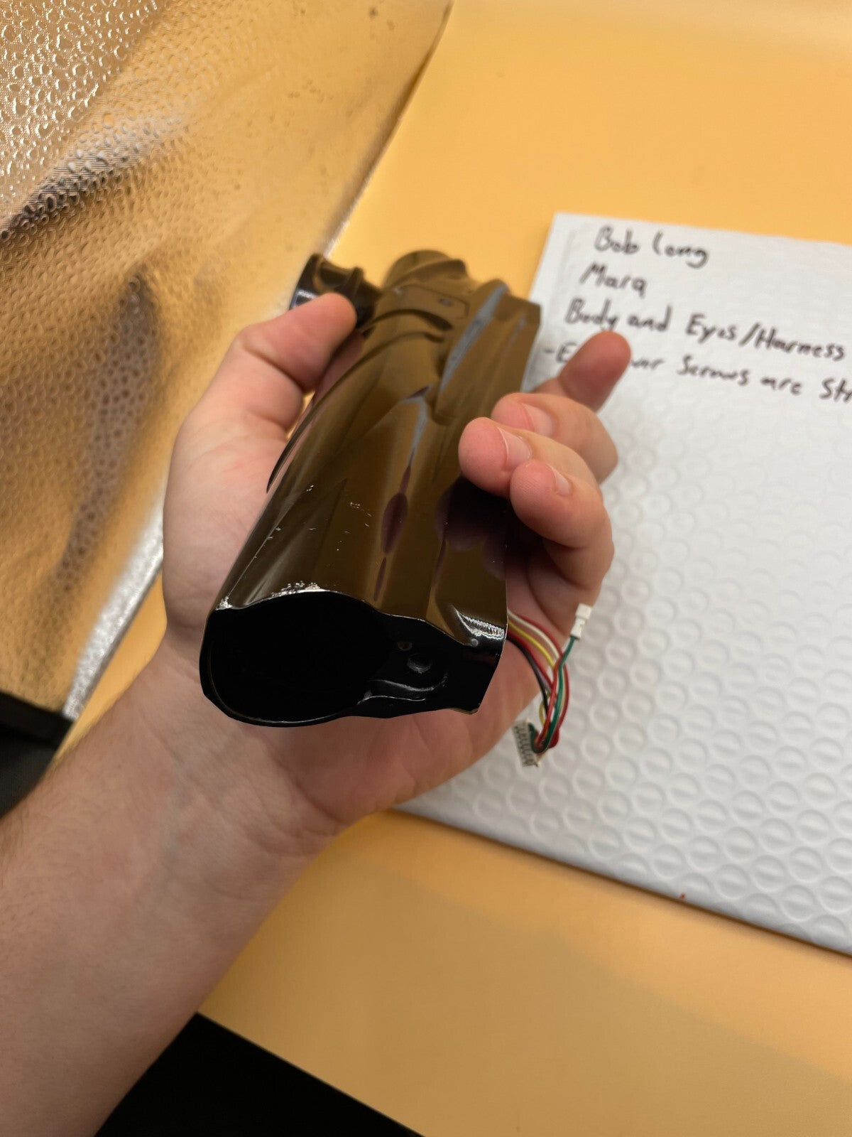 Bob long Marq Body and Eyes/Harness - Eye Cover Screws are Stripped