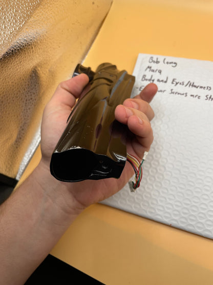 Bob long Marq Body and Eyes/Harness - Eye Cover Screws are Stripped