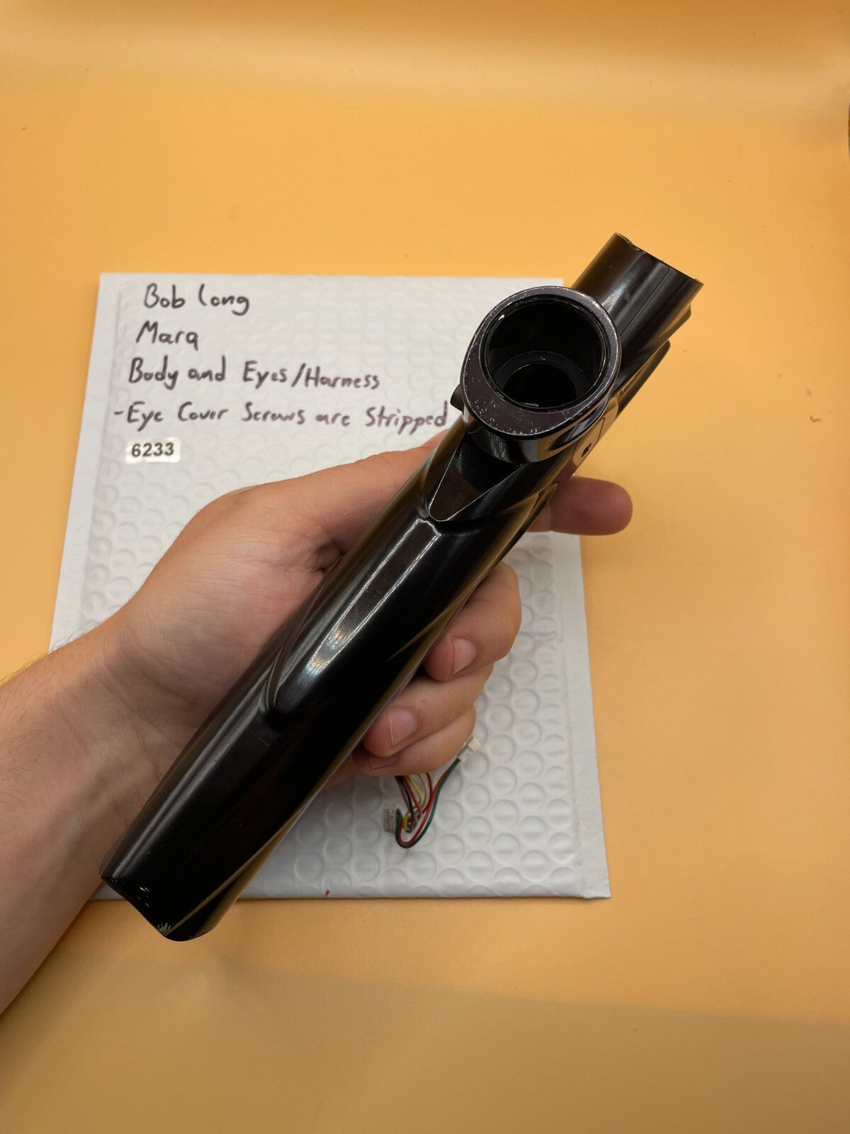 Bob long Marq Body and Eyes/Harness - Eye Cover Screws are Stripped