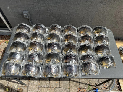 New Old Stock Dye Invision HD Fade Lease