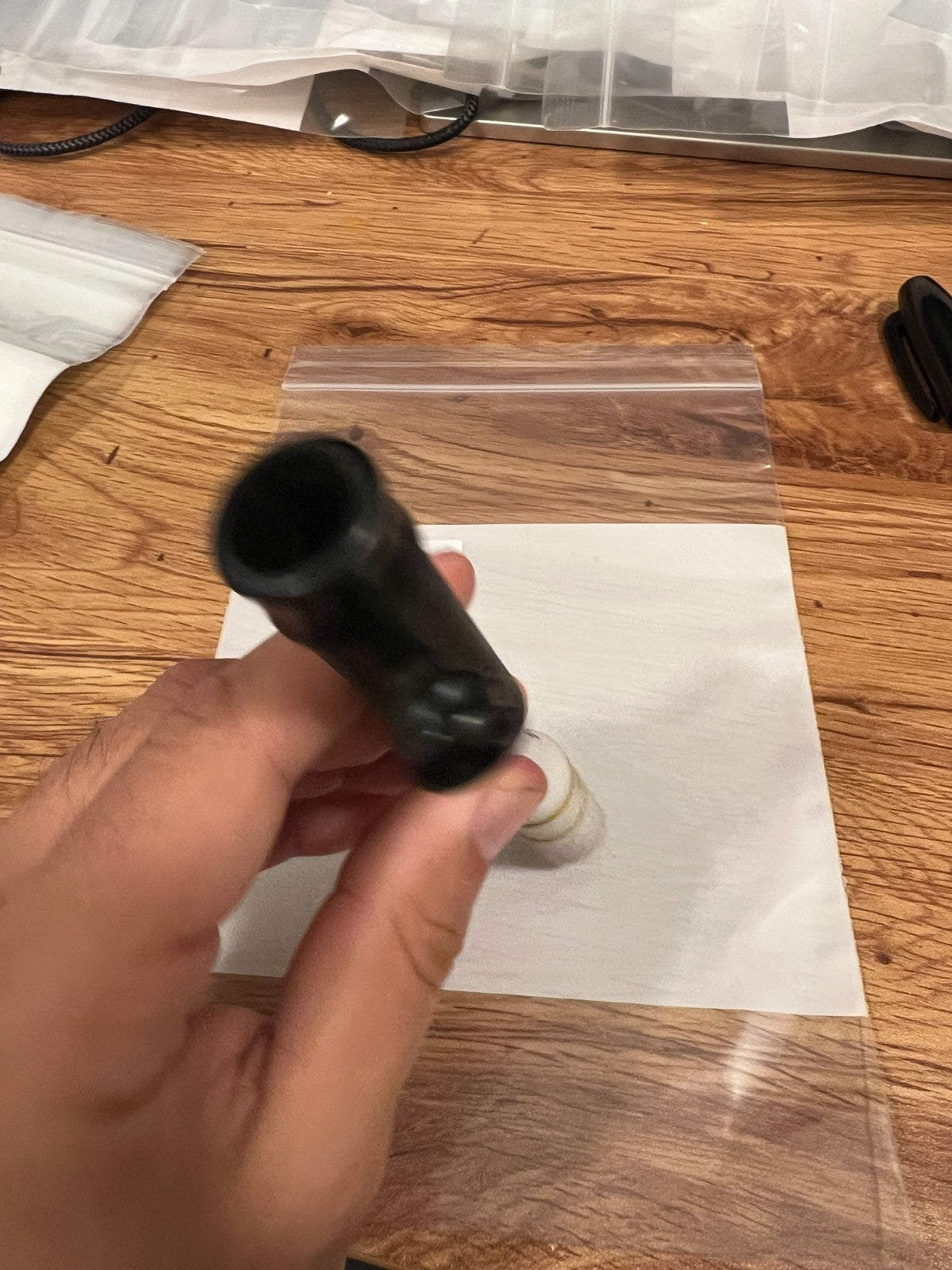 WGP Karnivor Bolt