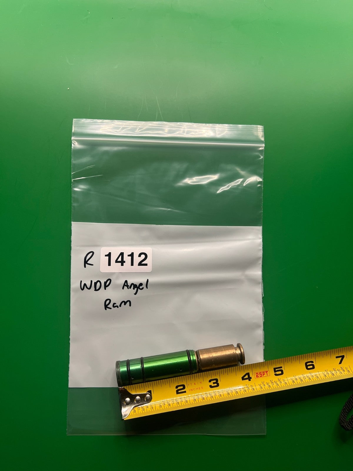 WDP Angel Ram