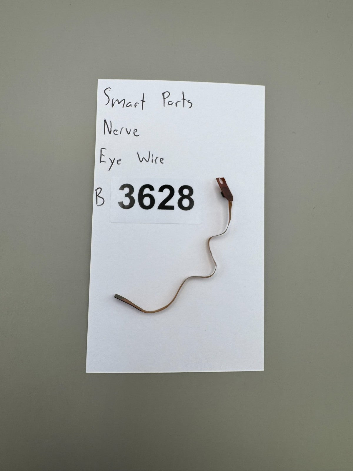 Smart Parts Nerve Eye Wire