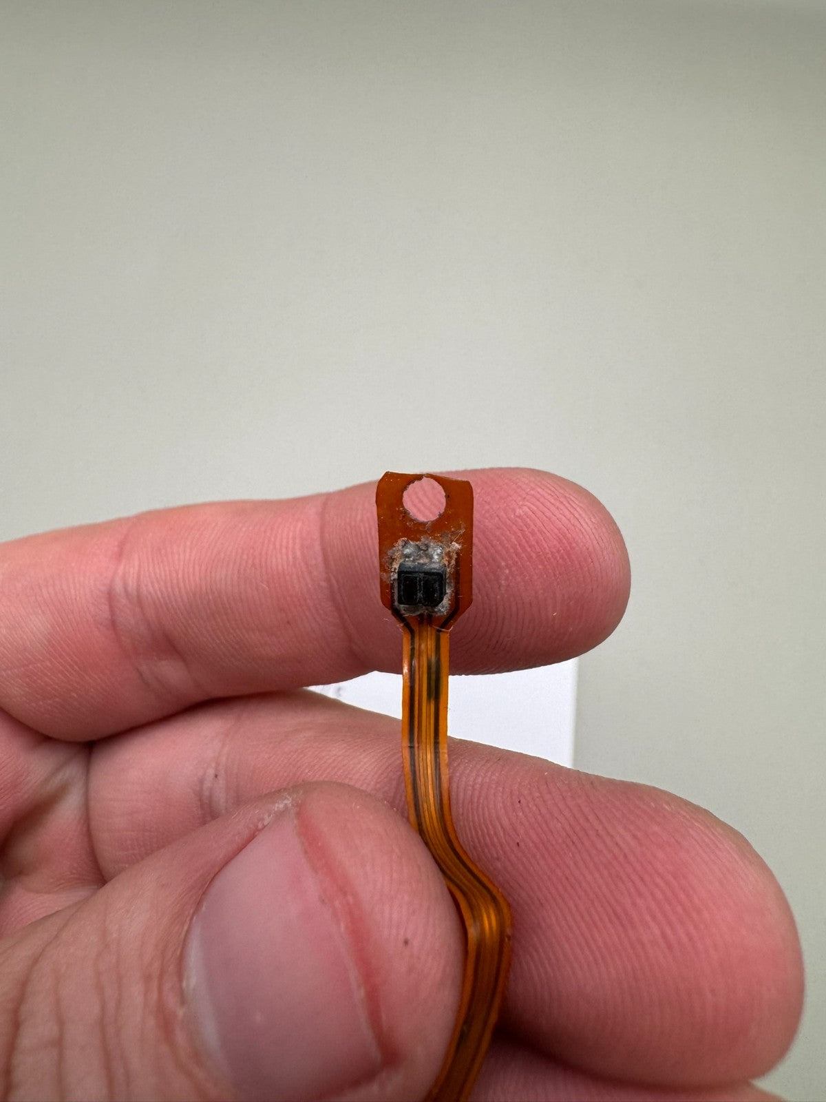 Smart Parts Nerve Eye Wire