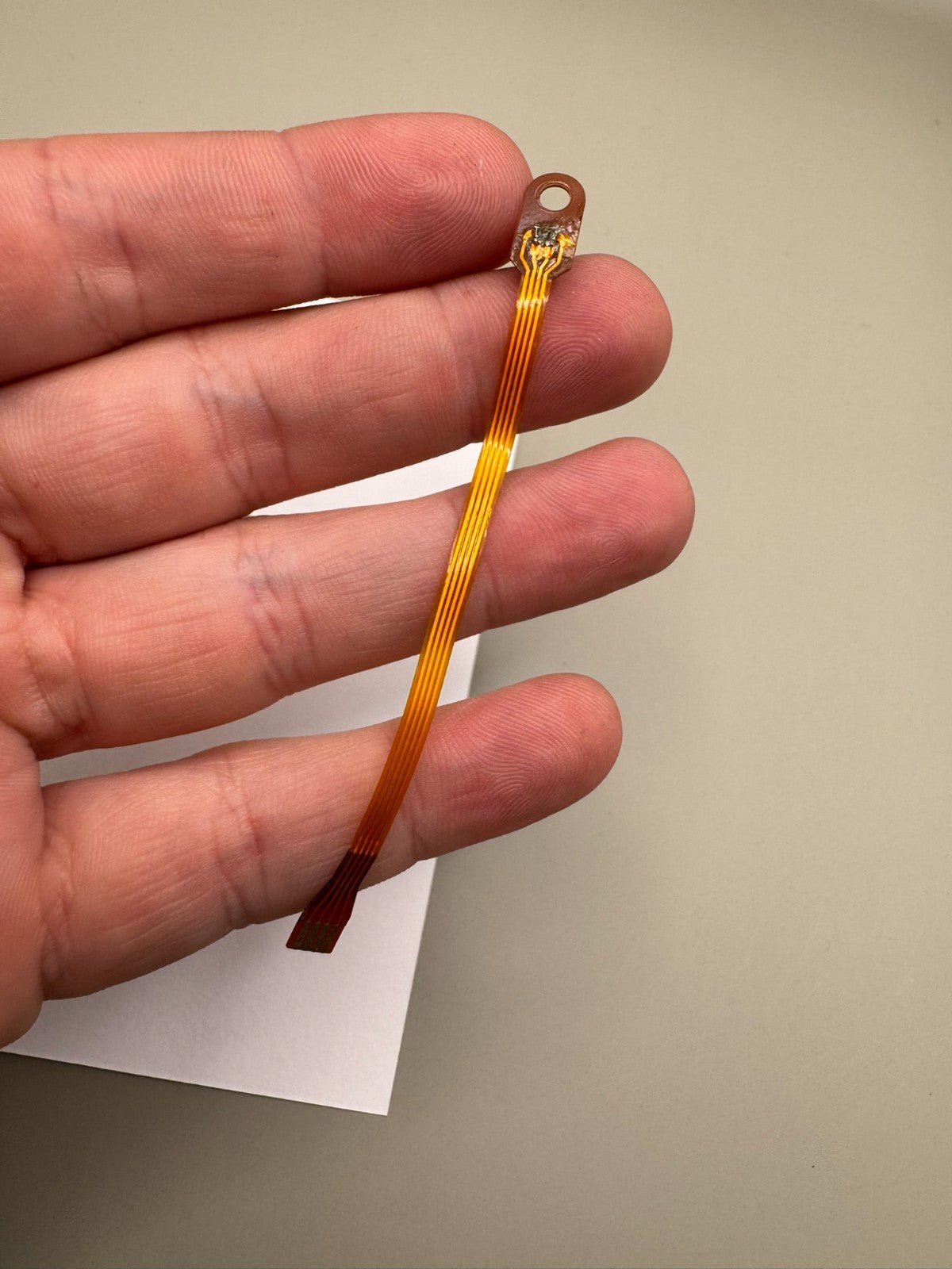 Smart Parts Nerve Eye Wire