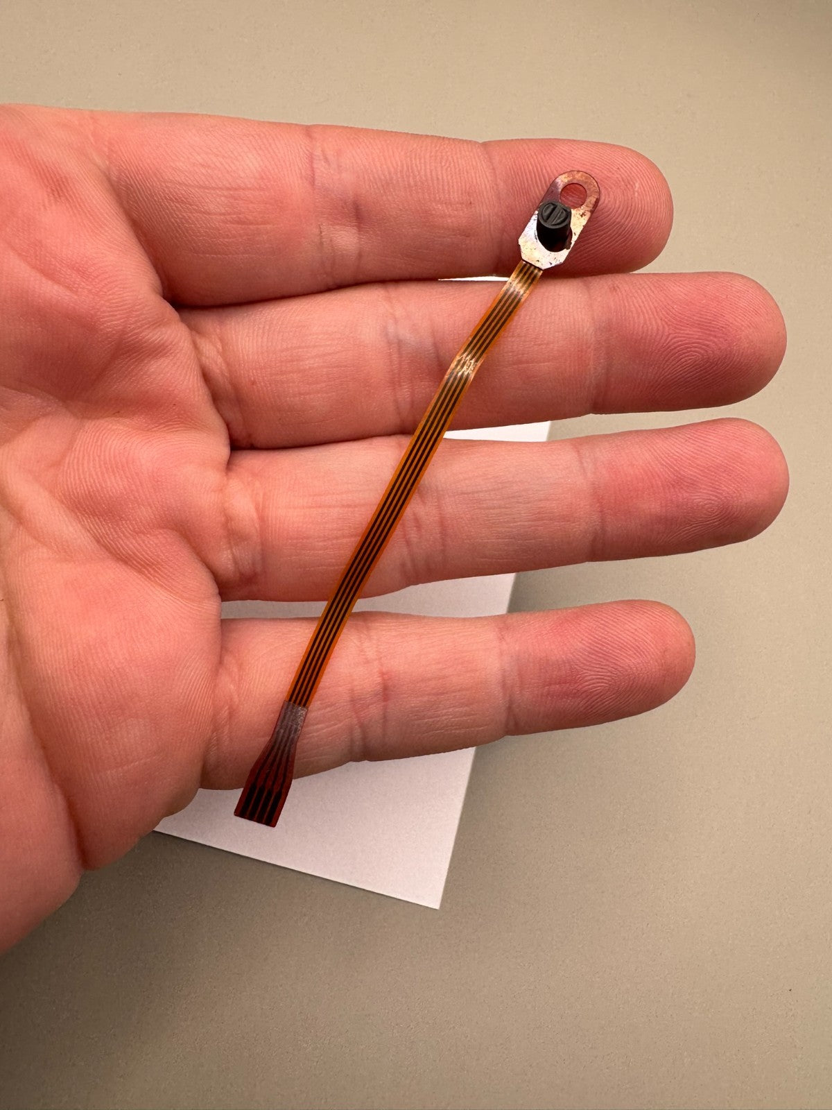 Smart Parts Nerve Eye Wire