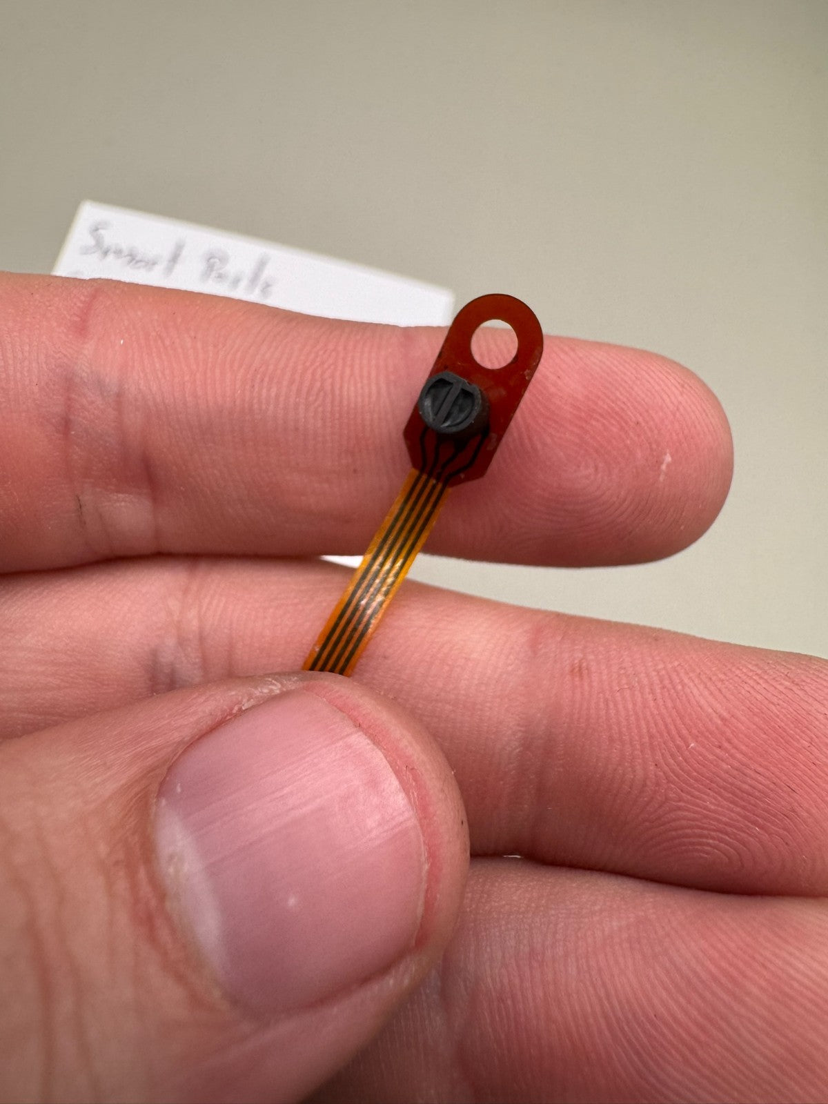 Smart Parts Nerve Eye Wire