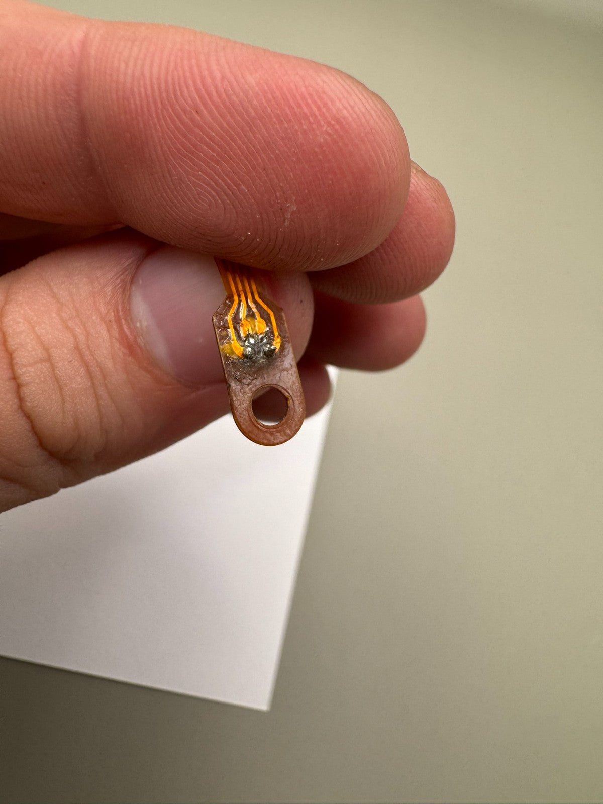 Smart Parts Nerve Eye Wire