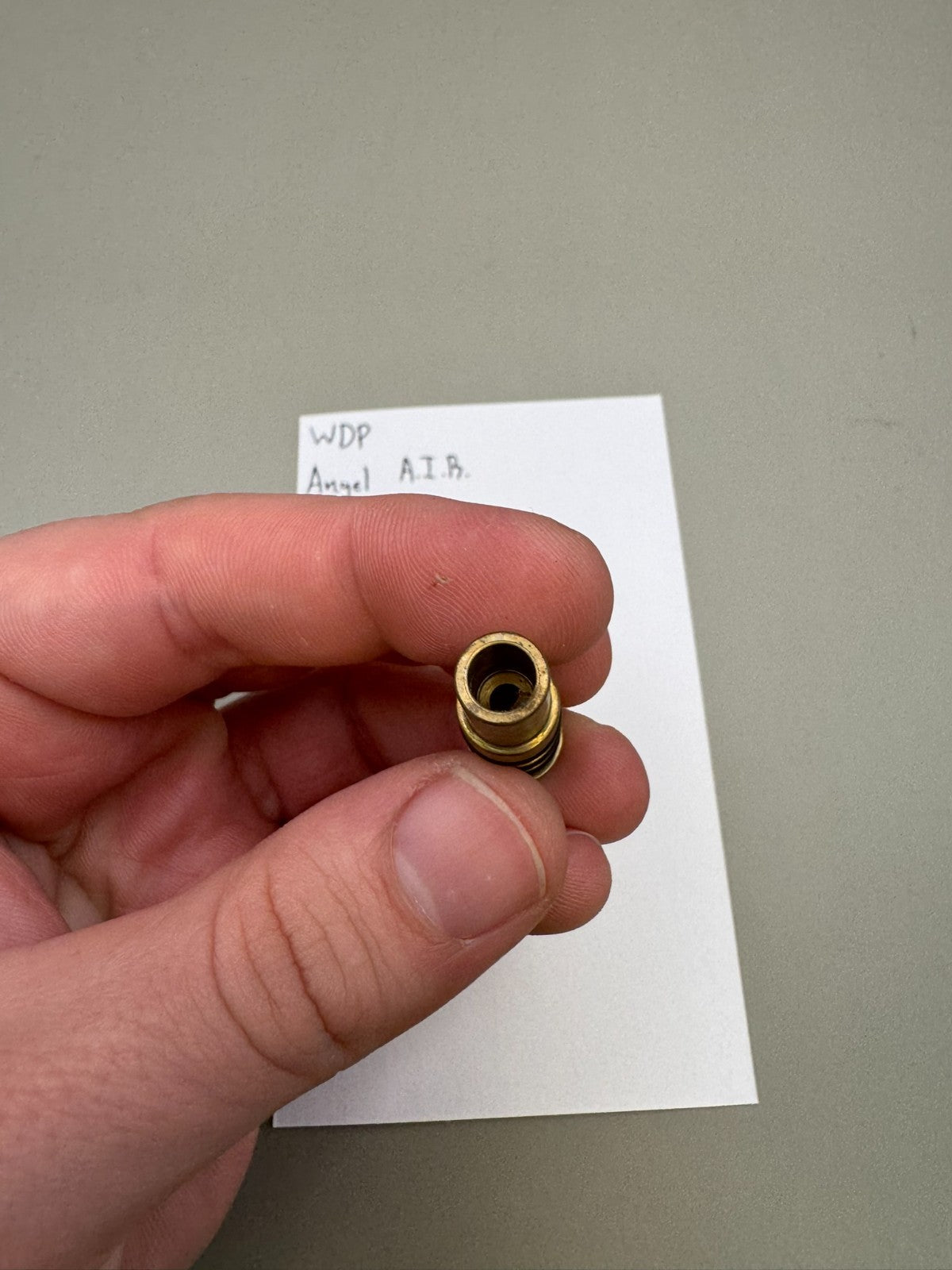 WDP Angel A.I.R Reg Pin Back
