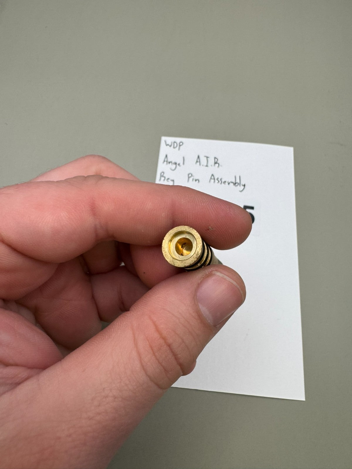 WDP Angel A.I.R Reg Pin Assembly