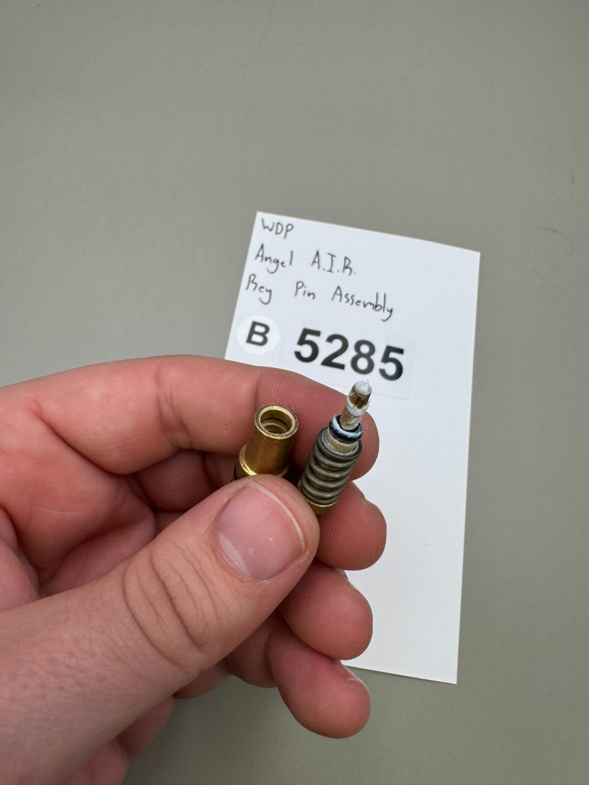WDP Angel A.I.R Reg Pin Assembly