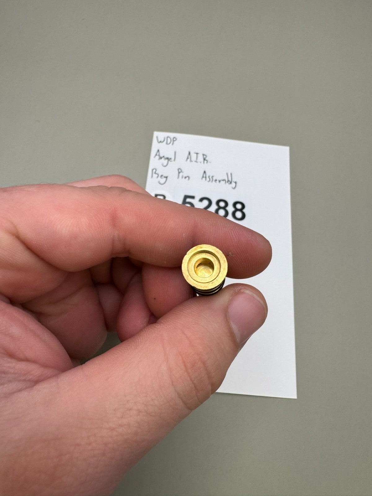 WDP Angel A.I.R Reg Pin Assembly