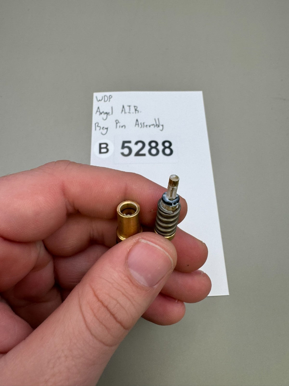WDP Angel A.I.R Reg Pin Assembly