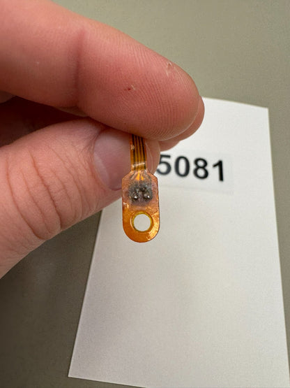Smart Parts Shocker SFT Eye Wire
