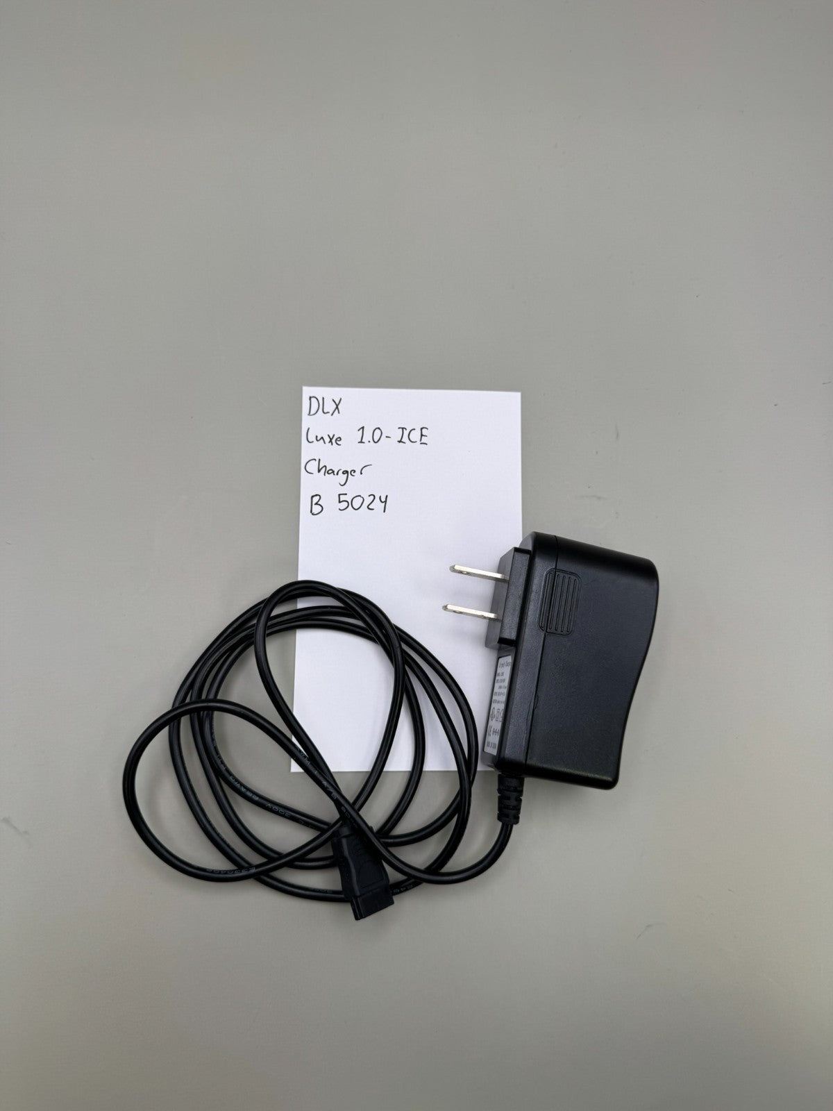 DLX LUXE 1.0-ICE Charger