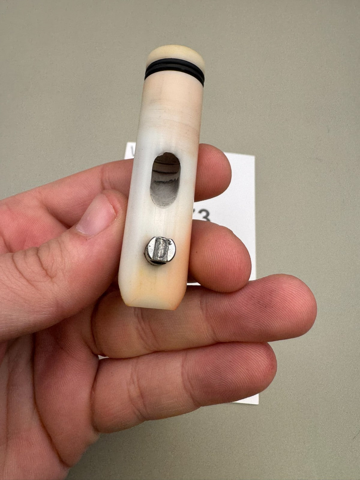 Vanguard PB Creed Bolt