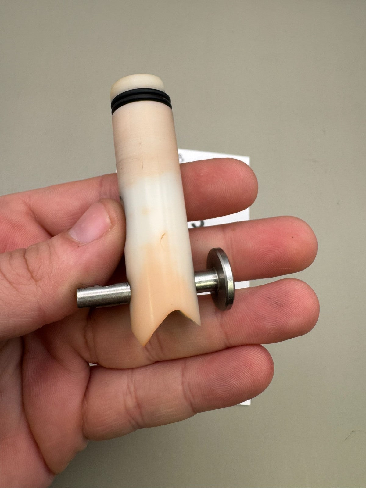 Vanguard PB Creed Bolt