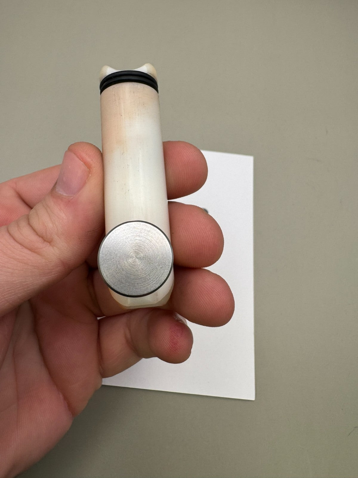 Vanguard PB Creed Bolt