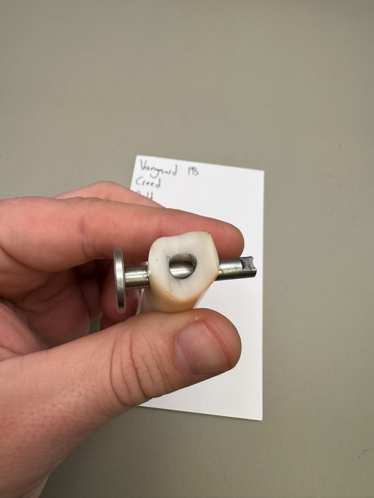 Vanguard PB Creed Bolt