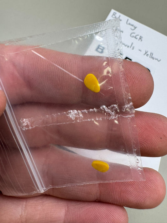 Bob Long Dragon G6R Eye Jewels-Yellow