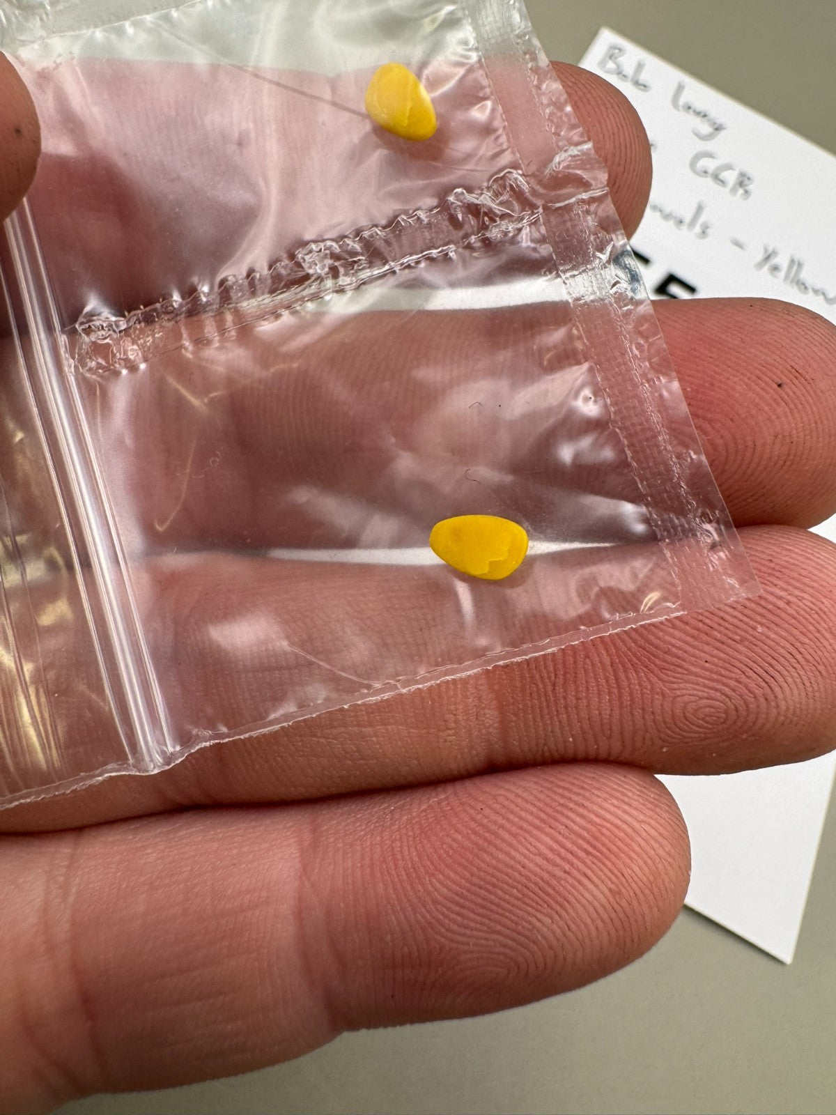 Bob Long Dragon G6R Eye Jewels-Yellow