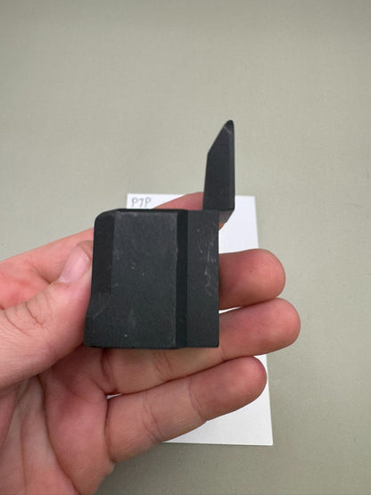 PTP 2K9 Micromag EMAG Body Front-Matte Black