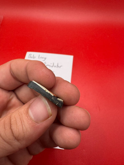Bob Long G6R Intimidator Button Cover